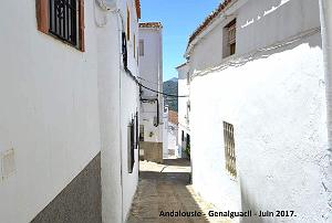 364- Genalguacil